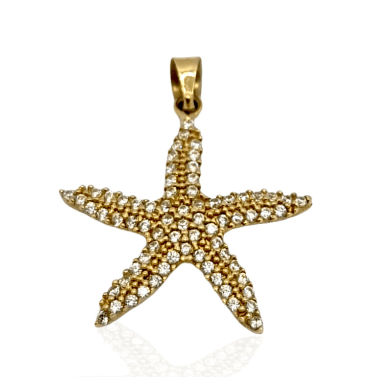 תליון כוכב ים 